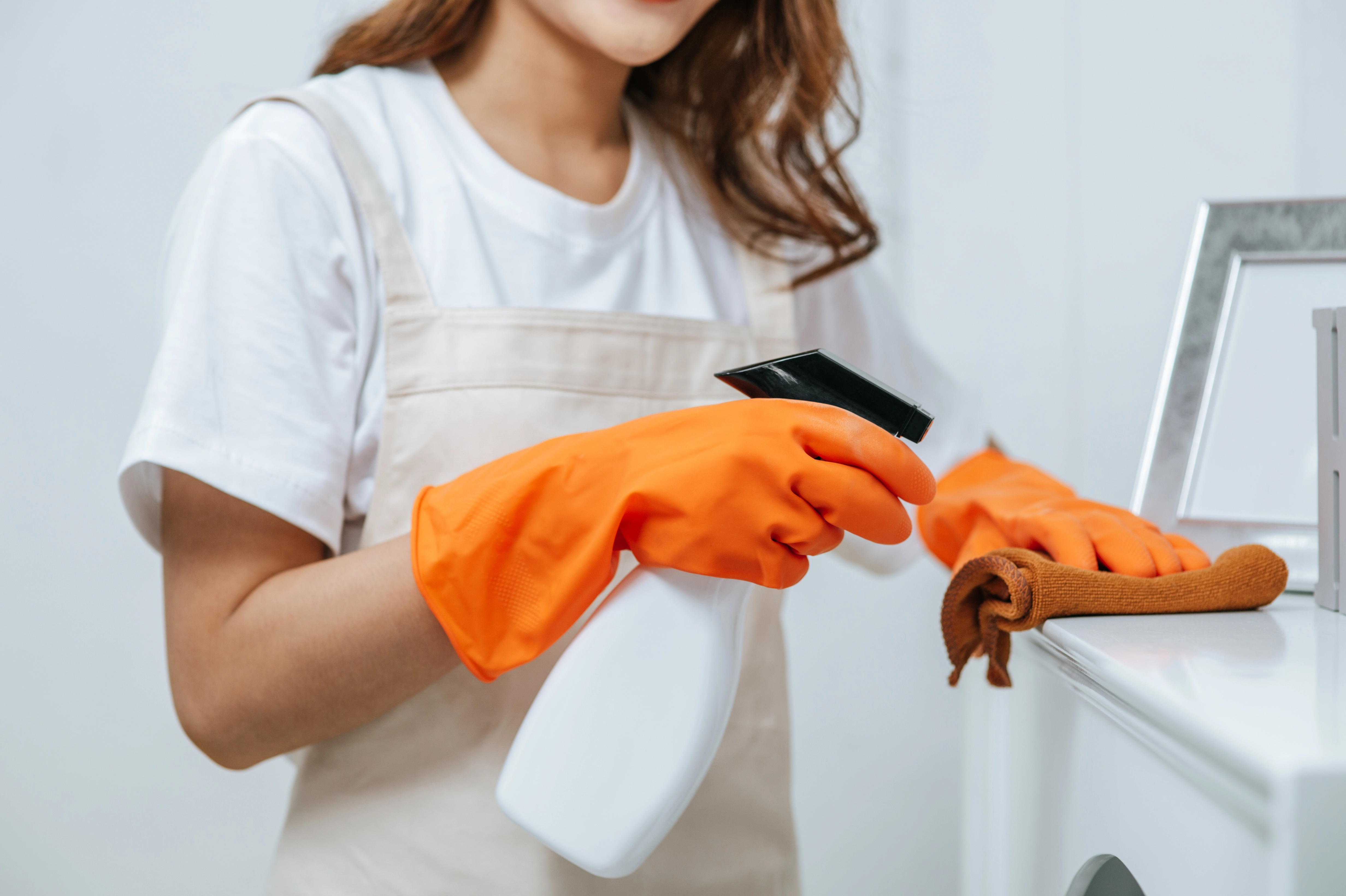 Challenges Faced By Employers When Choosing Transfer Maids